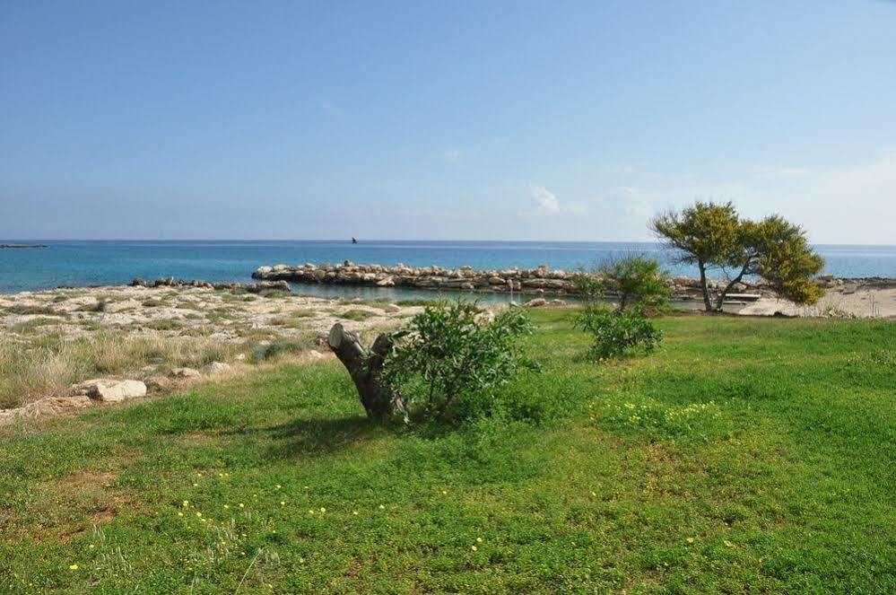 Harry'S Hotel Protaras Dış mekan fotoğraf